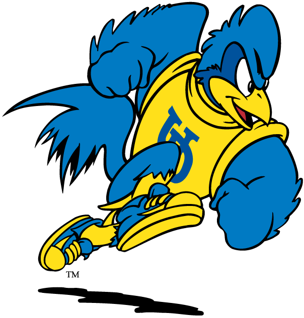 delaware blue hens 1993-pres mascot Logo v2 DIY iron on transfer (heat transfer)